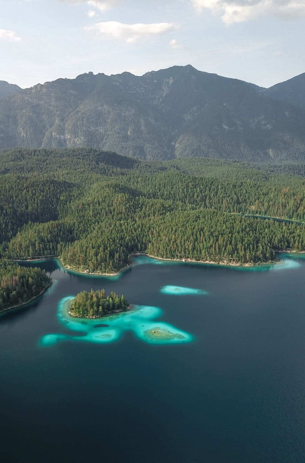 blue water and trees